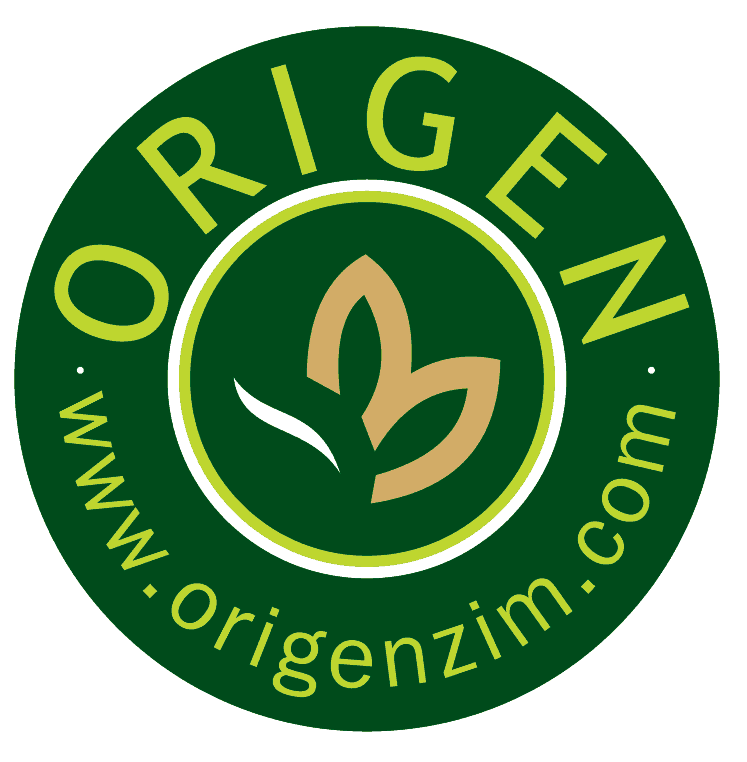 Origen
